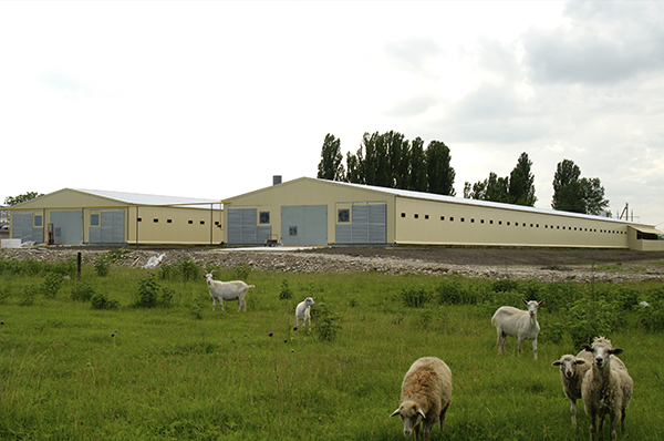 Инкубатор, Краснодарский край
